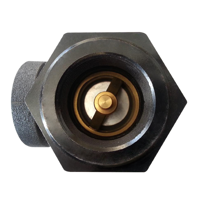 Angle Check Valve ZCCV-01